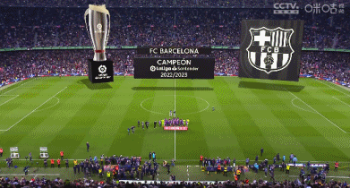 意媒：加比亚膝盖受伤，将缺席意大利超级杯半决赛（意媒称加比亚膝伤无缘意大利超级杯半决赛）